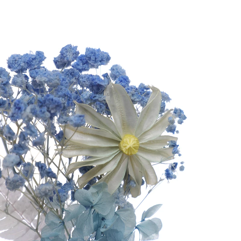 Blue Flower Dried Mini Bundle by Ashland®