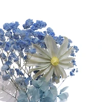 Blue Flower Dried Mini Bundle by Ashland®