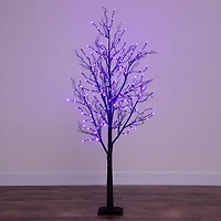 6ft. Pre-Lit LED Black Twig Artificial Halloween Tree
