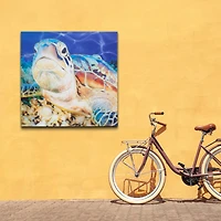 Sea Turtle Outdoor Canvas Art Print - 35"x35"