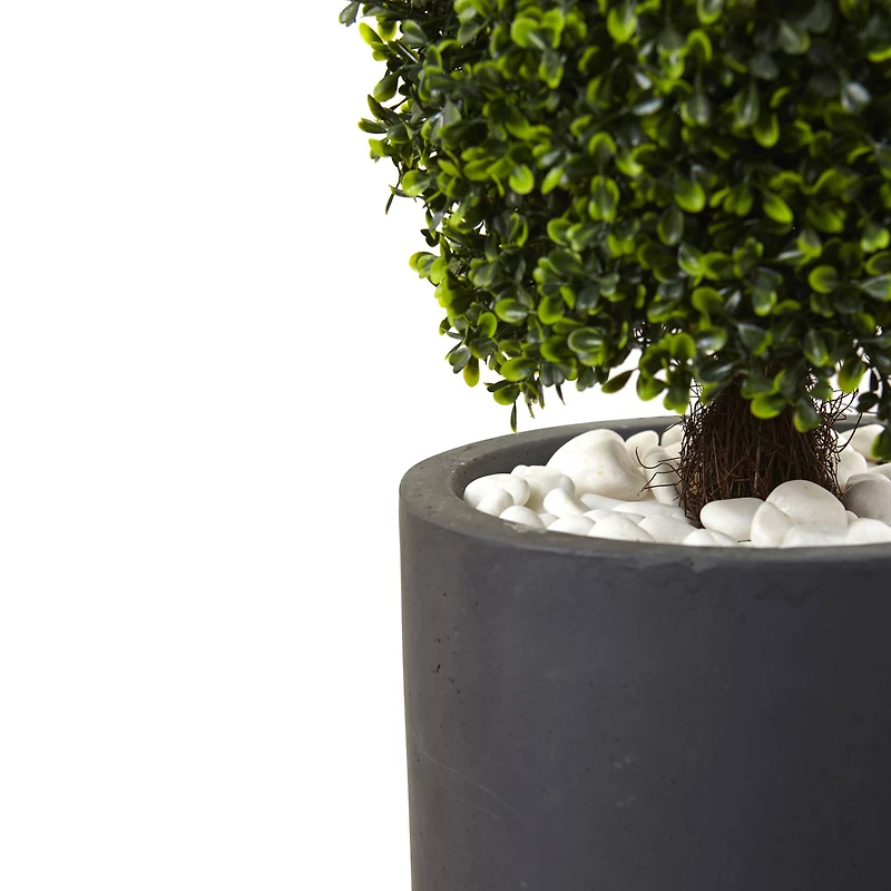 4ft. Boxwood Topiary with Gray Cylindrical Planter