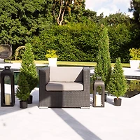 5ft. Potted UV Resistant Rosemary Cone Topiary Tree