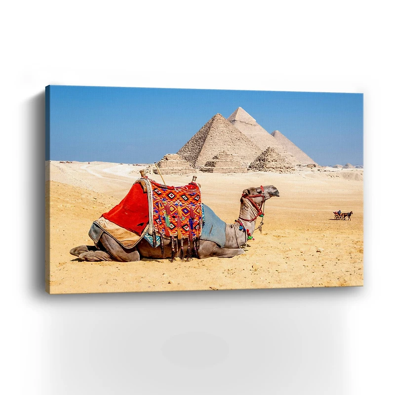 Camel Resting by the Pyramids, Giza