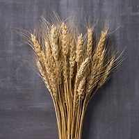 Ashland® Natural Wheat Bunch