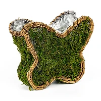 8.25" Decorative Moss Butterfly Basket by Ashland®