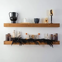 4ft. Artificial Real Touch Halloween Black Norfolk Island Pine Garland with Natural Look