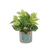 Flora Bunda® 10" Devil's Ivy in Blue Crystal Planter