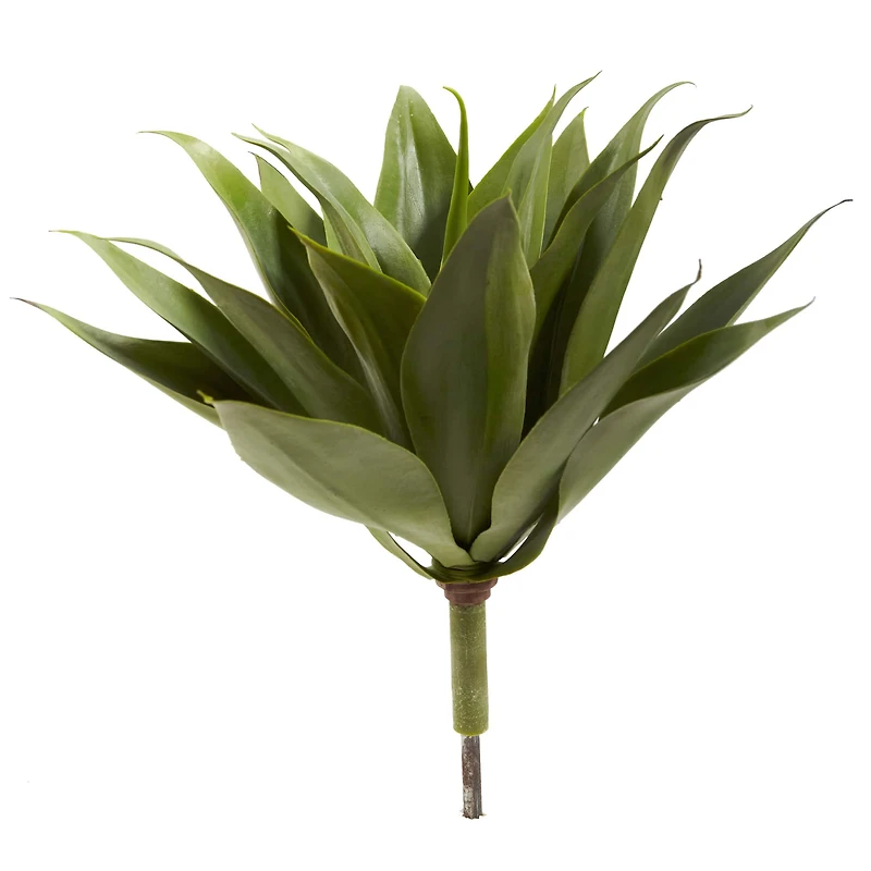 Agave Plant Spikes, 2ct.