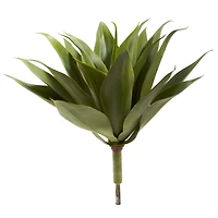 Agave Plant Spikes, 2ct.