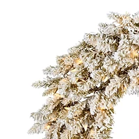 24" Warm White Dura-Lit® LED Frosted Gold Wreath