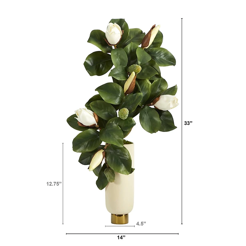 3ft. Magnolia Plant in Cream Planter with Gold Base