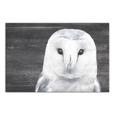 Slate Barn Owl 20" x 30" Canvas Wall Art