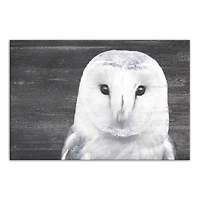 Slate Barn Owl 20" x 30" Canvas Wall Art