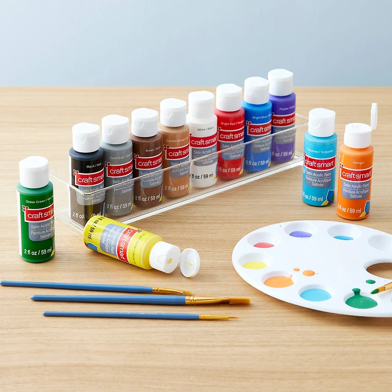Satin Acrylic Paint Value Set By Craft Smart®