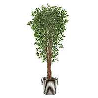 6ft. Variegated Ficus Tree in Handmade Black & White Natural Jute & Cotton Planter