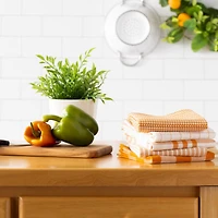 DII® Pumpkin Spice Farmhouse Woven Dishtowel Set