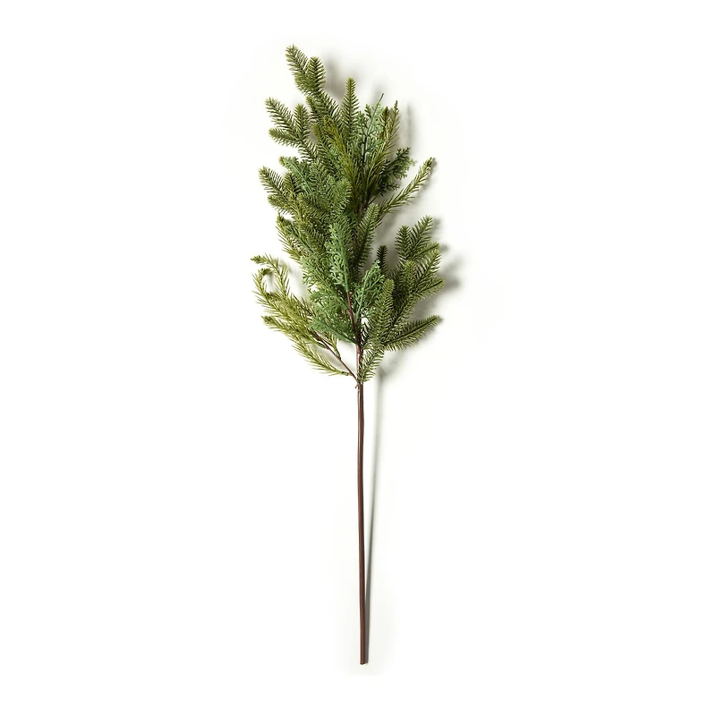Evergreen Branch by Ashland®