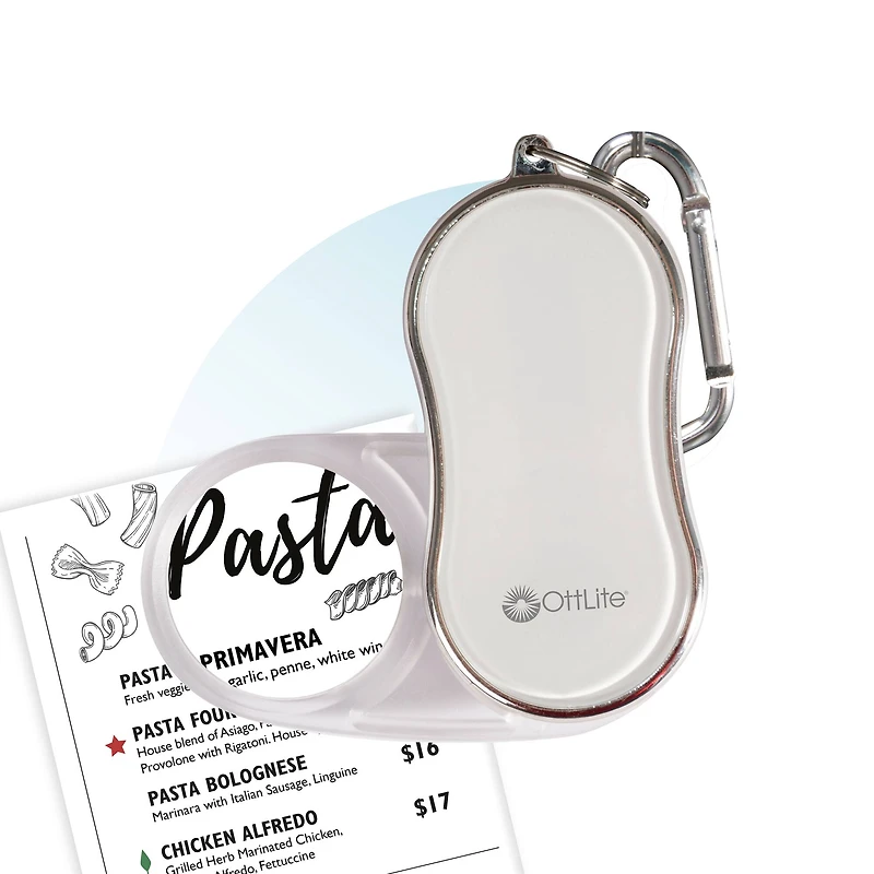 Ottlite Pocket Lighted Magnifier