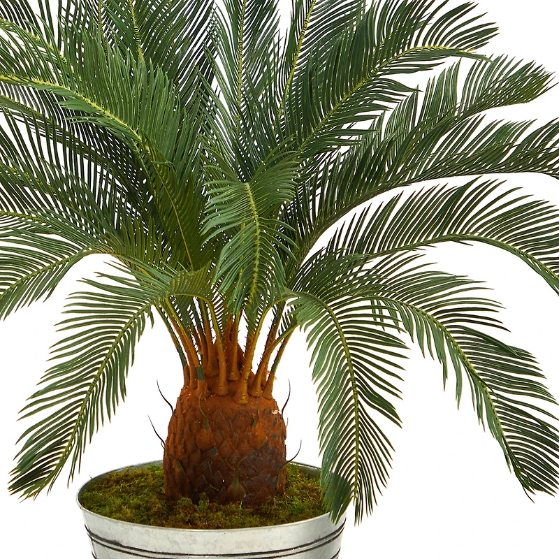 3.5ft. Cycas Tree in Decorative Tin Bucket