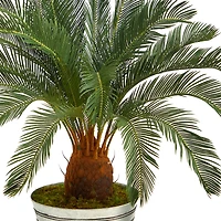 3.5ft. Cycas Tree in Decorative Tin Bucket