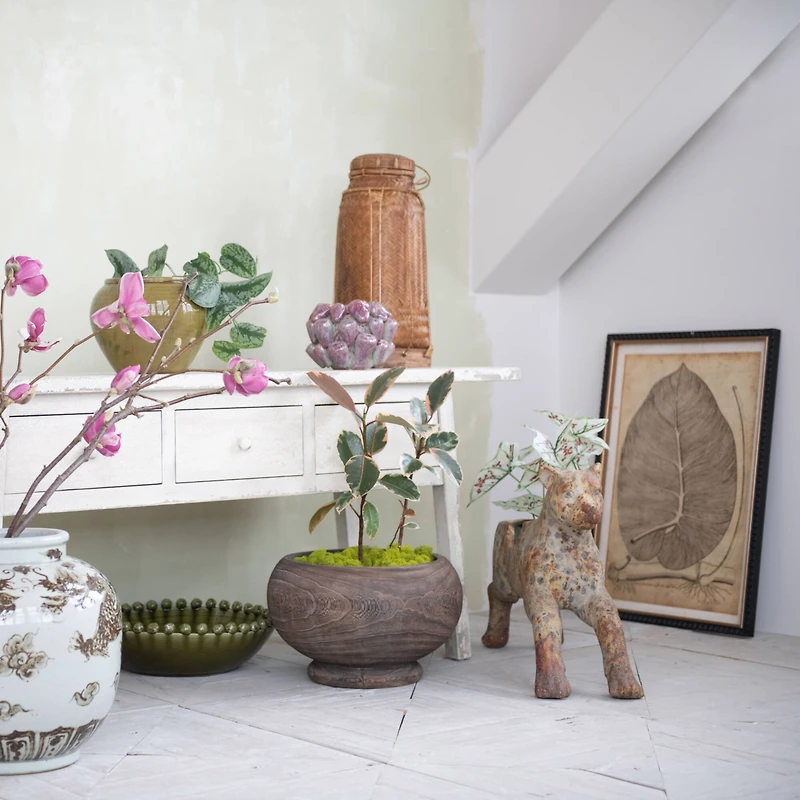 Hello Honey® Stained Round Paulownia Wood Planter