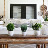 11" Artificial Boxwood Plant with Decorative Planter