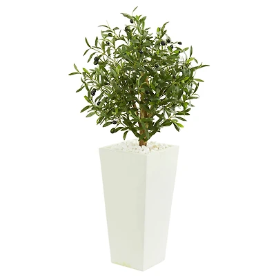 3.5ft. Olive Tree in White Planter