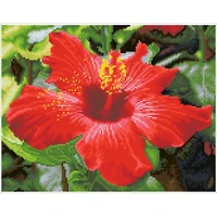 Diamond Dotz® Intermediate Hibiscus in Bloom Pre-Framed Diamond Painting Kit