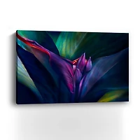 Retro Petals II Canvas Giclee