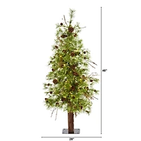 4ft. Pre-Lit Wyoming Alpine & Pinecone Artificial Christmas Tree, Clear LED Lights