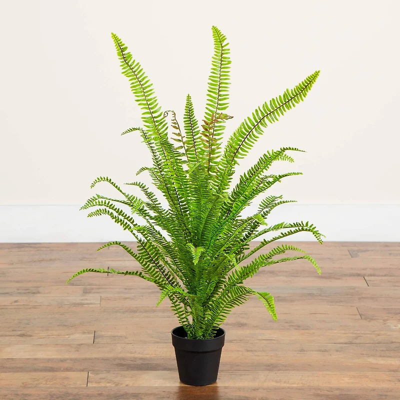 3ft. UV Resistant Artificial Boston Fern Potted Plant with Real Touch Leaves (Indoor/Outdoor)