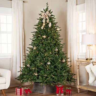 6.5ft. Pre-Lit Real Touch™ Cumberland Pine Artificial Christmas Tree, Warm White LED Lights