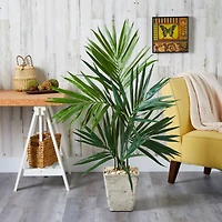 4ft. Kentia Palm Tree in Country White Planter