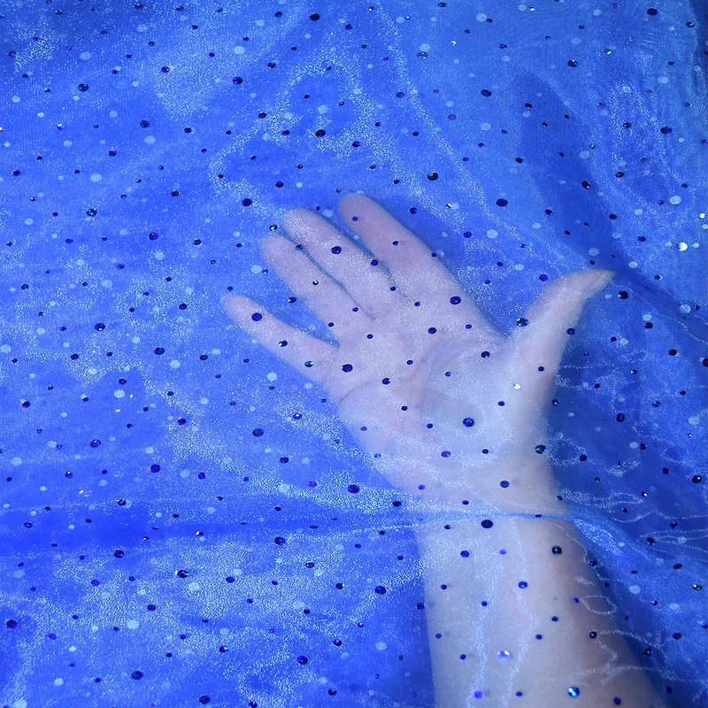 Feldman Blue Dot Organza