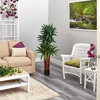 4.5ft. Potted Dragon Tree with Natural Trunk