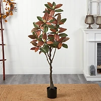 5ft. Potted Fall Magnolia Tree