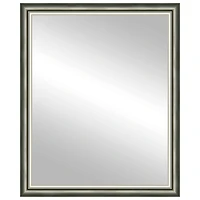 Timeless Frames® Cassia Champagne 24" x 30" Framed Mirror