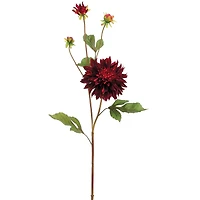 Burgundy Garden Dahlia Spray
