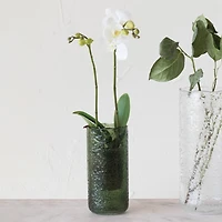 Hello Honey® 9" Green Seeded Glass Hurricane Vase