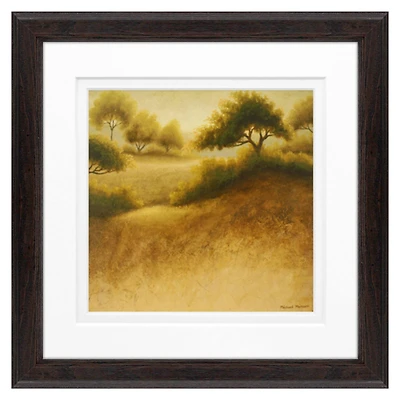 Timeless Frames® Iowa Dream Framed Wall Décor