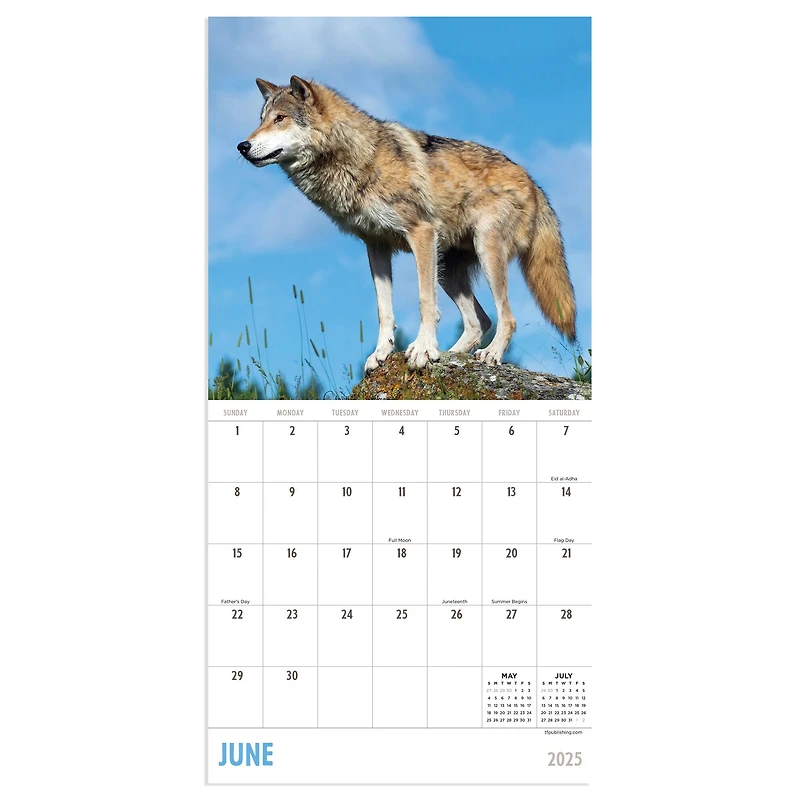 TF Publishing 2025 Wolves Mini Calendar