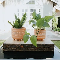 Flora Bunda® Orange Navajo Footed Planter Set