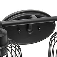 Lalia Home Ironhouse 2 Light Industrial Cage Vanity