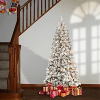 6ft. Pre-Lit Acacia Flocked Artificial Christmas Tree, Clear Lights