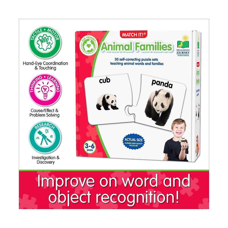 Match It! - Animal Families