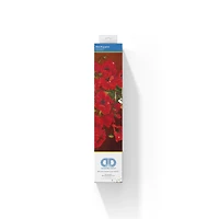 Diamond Dotz® Red Poppies Diamond Painting Kit