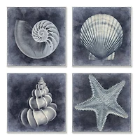 Stupell Industries Nautical Distressed Seashells and Starfish Blue White,12" x 12"