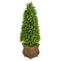 3.5ft. Eucalyptus Cone Topiary Tree in Metal Planter