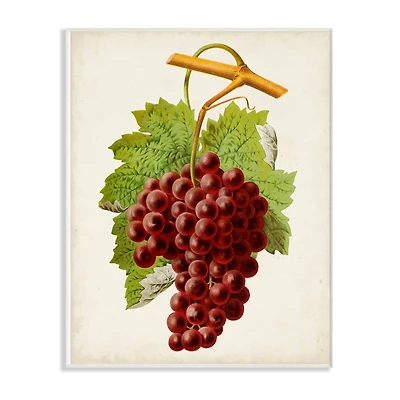 Stupell Industries Vintage Food Fruit Painting, 10" x 15"