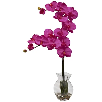 24" Moth Orchid Arrangement with Vase